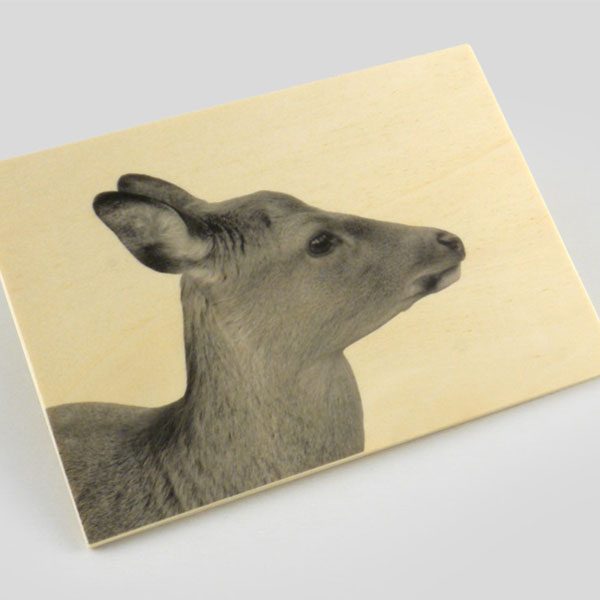 Wood postcard - Image 2